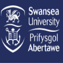 http://www.ishallwin.com/Content/ScholarshipImages/127X127/Swansea University-10.png